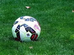 樊振东未获,亚洲杯参赛,资格,足球比分,足球直播,足球比分直播,球探体育