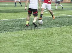 蓝十字豪取,两连胜,气势如虹,足球比分,足球直播,足球比分直播,球探体育