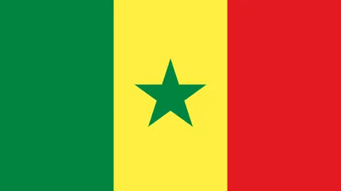 李越宏奥运三度拼搏终获金牌，资深运动员创造历史辉煌