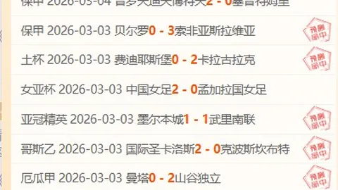 喀麦隆国家队2025年世界杯参赛名单揭晓